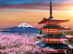 Formation apprendre le japonais en ligne avec e-cademy.fr au meilleur tarif. Cours de japonais en ligne.
